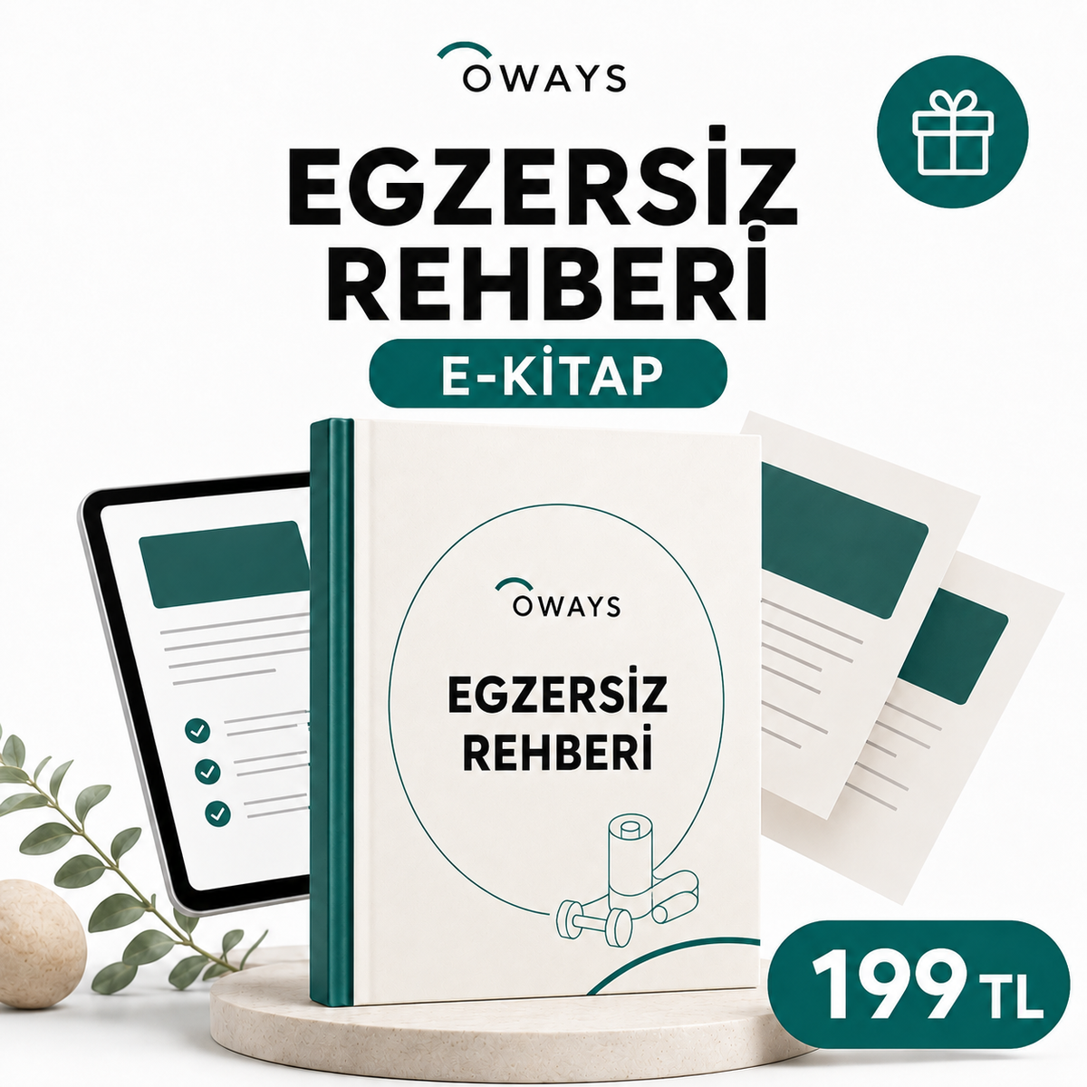 🎁 Egzersiz Rehberi